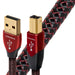Audioquest Cinnamon | Câble USB A vers USB B - Version USB 2.0 - Conducteur en Argent massif à 1,25% - 1.5 Mètres-Sonxplus Granby 