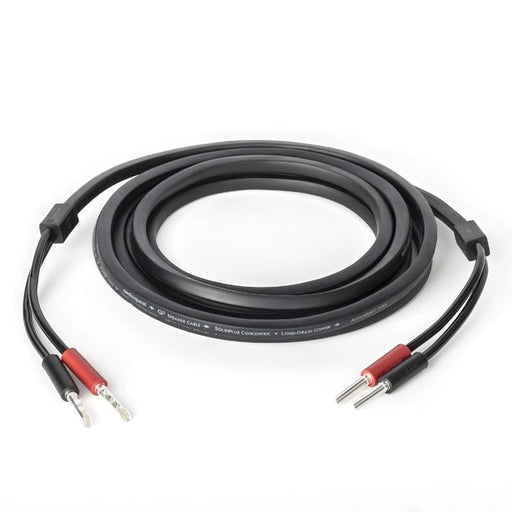 Audioquest Q2 | Speaker Cable - Long Grain Copper (LGC) inner conductor - 10 Feet-Sonxplus Granby 