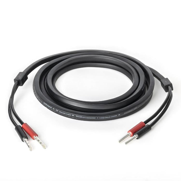 Audioquest Q2 | Câble haut-parleur - Conducteur interne en cuivre à grain long (LGC) - 10 Pieds-Sonxplus Granby 