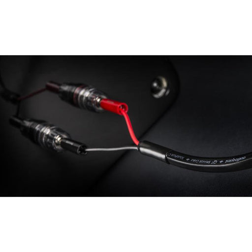 Audioquest Q2 | Câble haut-parleur - Conducteur interne en cuivre à grain long (LGC) - 10 Pieds-SONXPLUS Granby
